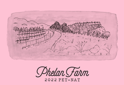 2022 Pet-Nat of Gamay & Pinot Noir