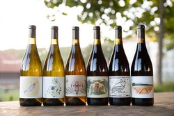 Brij Wines 6 Pack