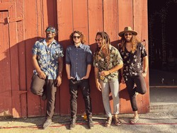 Dante Marsh & Vibesetters Live