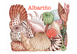 2024 Albariño
